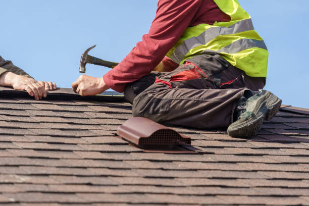 Best Roof Repair Services  in Exander City, AL