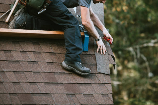 Best Shingle Roofing Installation  in Exander City, AL